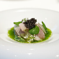 ジョンティ アッシュ - 