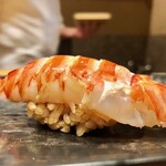 鮨 とかみ - 2020.12.  車海老