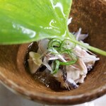 Takasegawa Maki - 来島海峡 虎魚(おこぜ)肝ポン酢