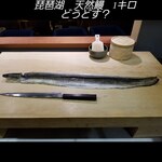 Takasegawa Maki - 琵琶湖　天然鰻