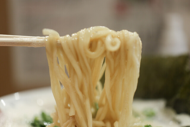 Takeuchi Susuru photo 5