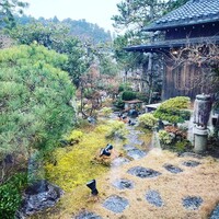 リストランテ カーザ・アルべラータ - 