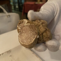 Ristorante IL FIGO INGORDO - 