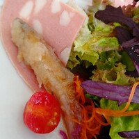 アルフォルトゥーナ - 