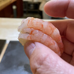 兄弟寿し - 佐渡南蛮海老