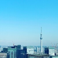ザ タヴァン グリル＆ラウンジ - 