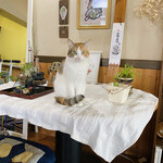 あとらんてぃす - 