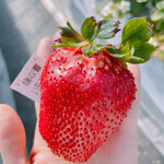 姫路ハートフル観光農園 - 