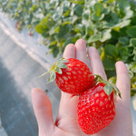 姫路ハートフル観光農園 - 