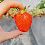 姫路ハートフル観光農園 - 