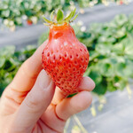 姫路ハートフル観光農園 - 