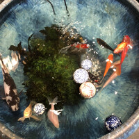 松阪牛 よし田 - 