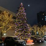 きのとや - 【2020年12月】店外：駐車場には巨大な電飾ツリーが有ります。