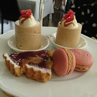 THE COSMOPOLITAN GRILL BAR TERRACE - 