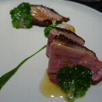 セララバアド - 紀州鴨