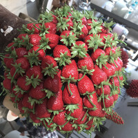 シースケープ テラス・ダイニング - 