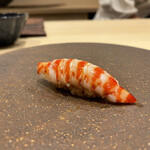 鮨 うがつ - 車海老