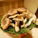 富小路 やま岸 - 