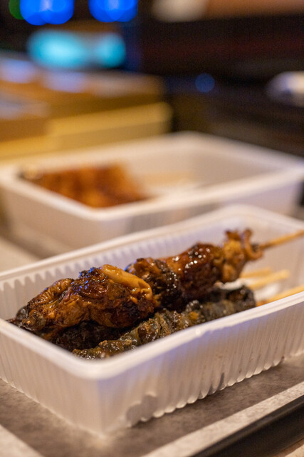 Unagi Kawakame photo 4