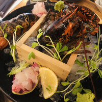 KINKA sushi bar izakaya 渋谷 - 