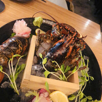 KINKA sushi bar izakaya 渋谷 - 