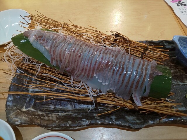 東京イカセンター 日本橋 居酒屋 ネット予約可 食べログ 東京イカセンター 日本橋 居酒屋 ネット予約可 食べログ