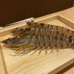 玄水 - 活き車海老