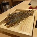 玄水 - 活き車海老