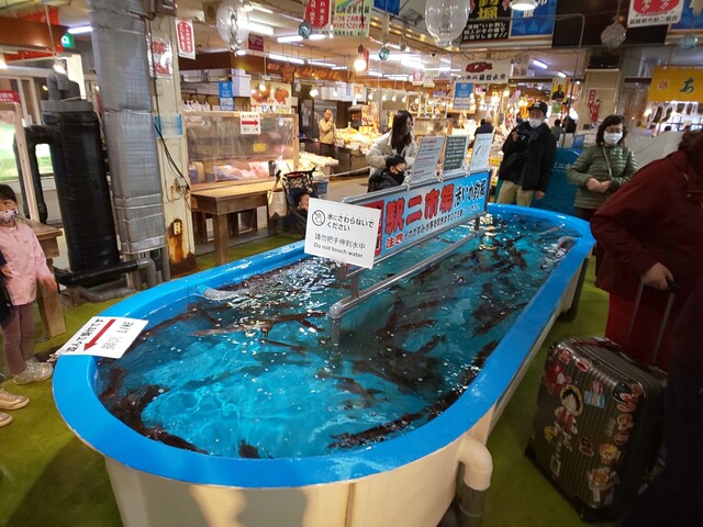 函館朝市 駅二市場 活いか釣り広場 函館 魚介料理 海鮮料理 食べログ 函館朝市 駅二市場 活いか釣り広場 函館 魚介料理 海鮮料理 食べログ
