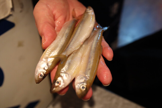 おまつり本舗 おまつりほんぽ 五反田 あんこう 食べログ