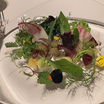 レフェルヴェソンス - 