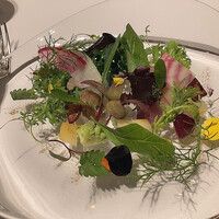 レフェルヴェソンス - 