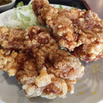 サウスヴィラ - 