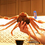 三宅輝 - 島根県隠岐産の松葉蟹