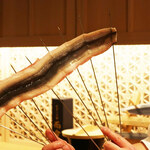 三宅輝 - 三河産活け鰻