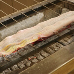 三宅輝 - 三河産活け鰻