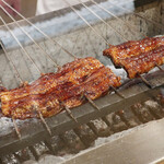 三宅輝 - 三河産活け鰻