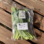 Toretate Mansai - 【はなっこりー 140円】山口県うまれの野菜です。