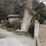 ループタウン - 