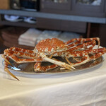 ウシマル - タカアシガニ、生きてる