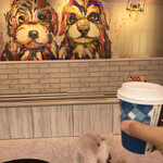 短時間はいいかも By ゆはも 犬カフェ Rio 原宿竹下通り店 リオ 原宿 その他 食べログ