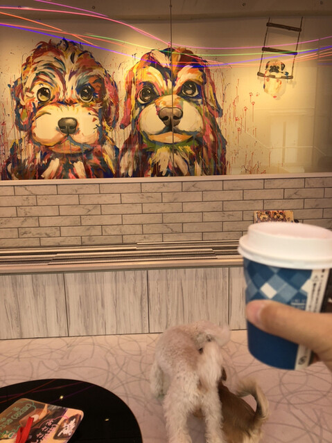 短時間はいいかも By ゆはも 犬カフェ Rio 原宿竹下通り店 リオ 原宿 その他 食べログ 短時間はいいかも By ゆはも 犬カフェ Rio 原宿竹下通り店 リオ 原宿 その他 食べログ