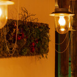 ノッティーヴァゴ - 