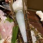 いかの墨 - ヤリイカ