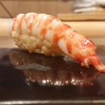 鮨 むらやま - 車海老