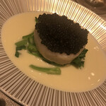 スガラボヴィー - 