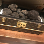 スガラボヴィー - 