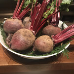 スガラボヴィー - 