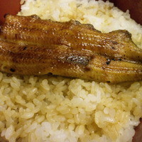 割烹 蒲焼 大沼 - 半身のうなぎ.
