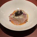 イル アオヤマ - 